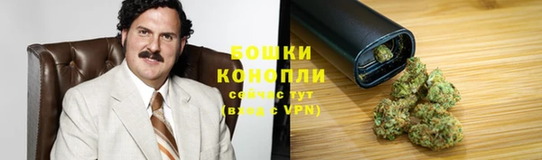 шишки Нягань