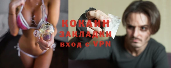 шишки Нягань