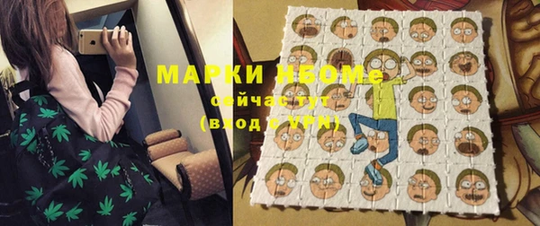 шишки Нягань