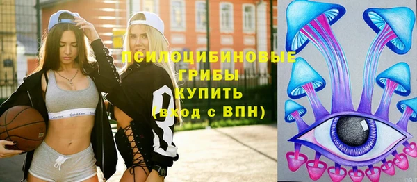 шишки Нягань