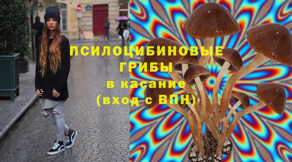 шишки Нягань