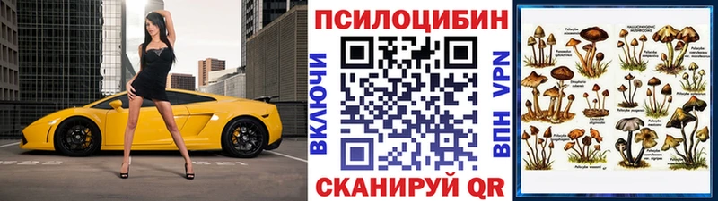 Псилоцибиновые грибы MAGIC MUSHROOMS  Купить где  Карабулак 